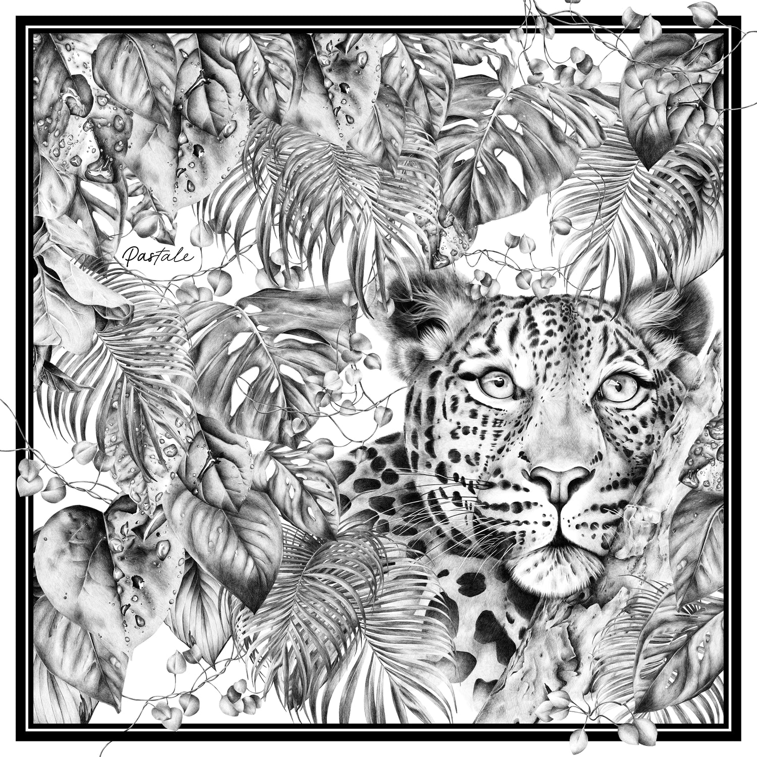 Carré 120 - Immersion Sauvage