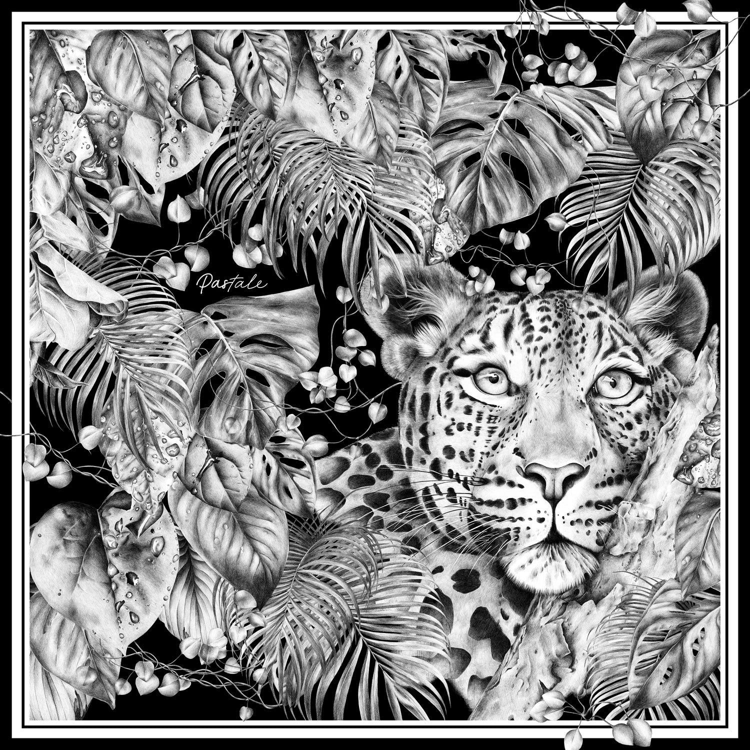 Carré 90 - Immersion Sauvage