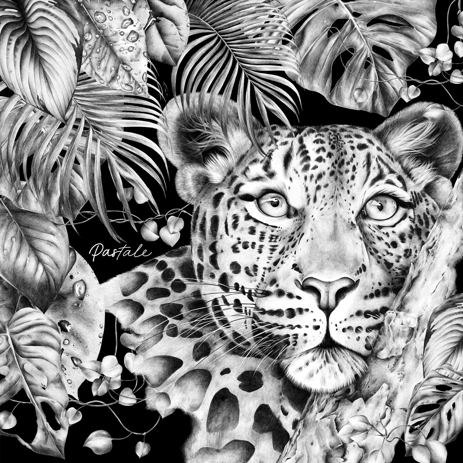 Carré 70 - Immersion Sauvage