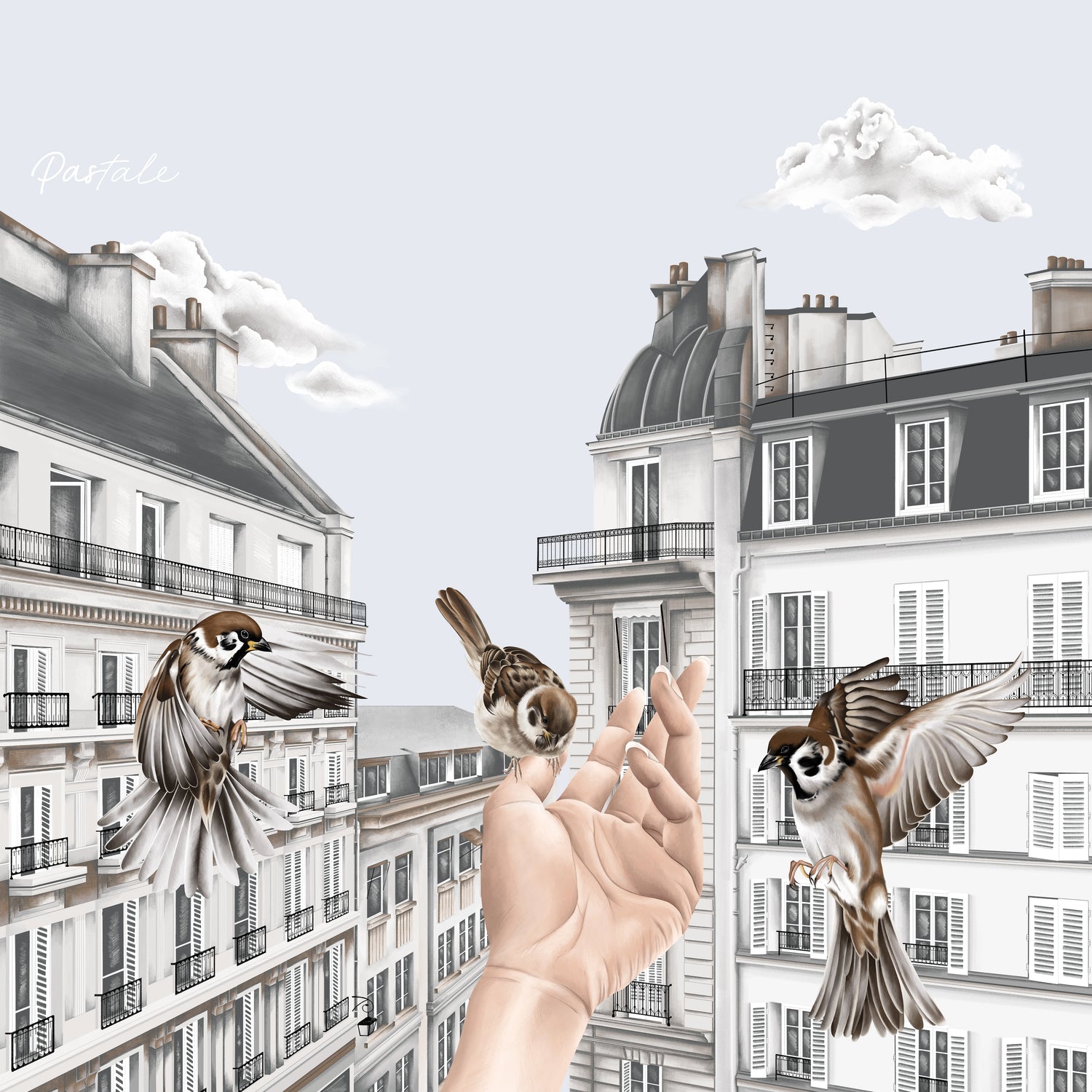 Carré 70 - Sur Les Toits