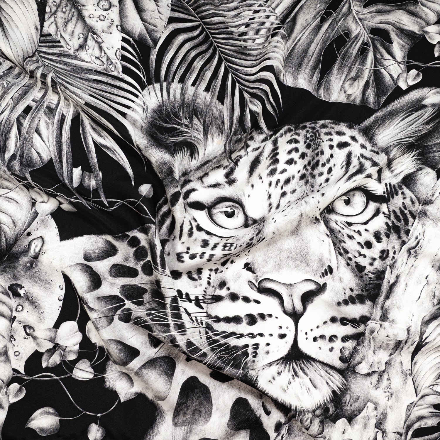 Carré 70 - Immersion Sauvage