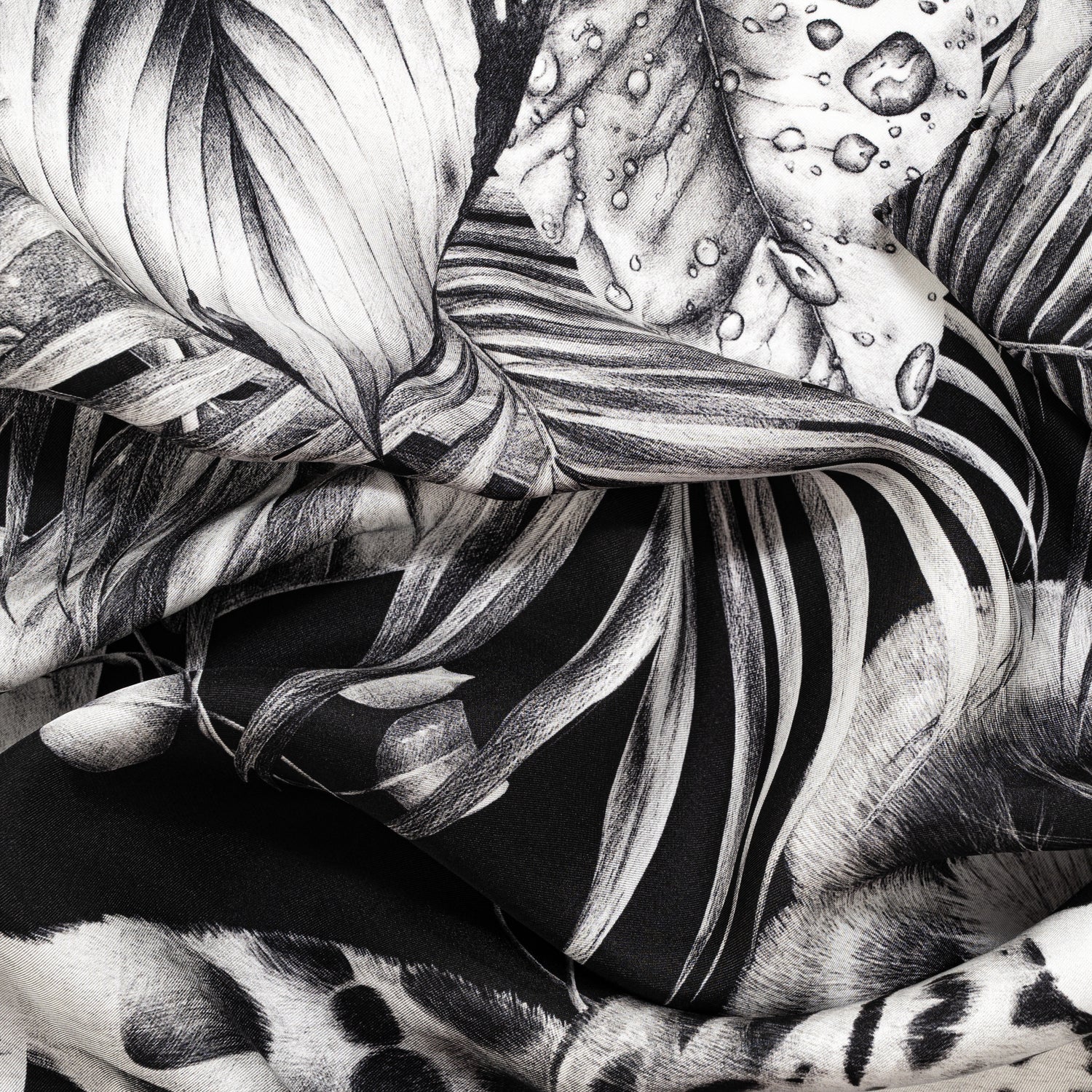 Carré 70 - Immersion Sauvage