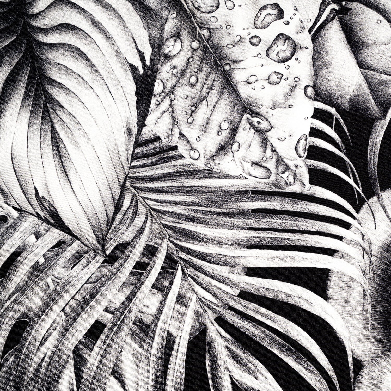 Carré 70 - Immersion Sauvage