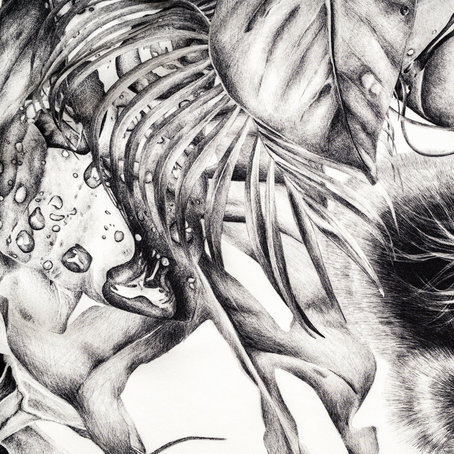 Carré 70 - Immersion Sauvage