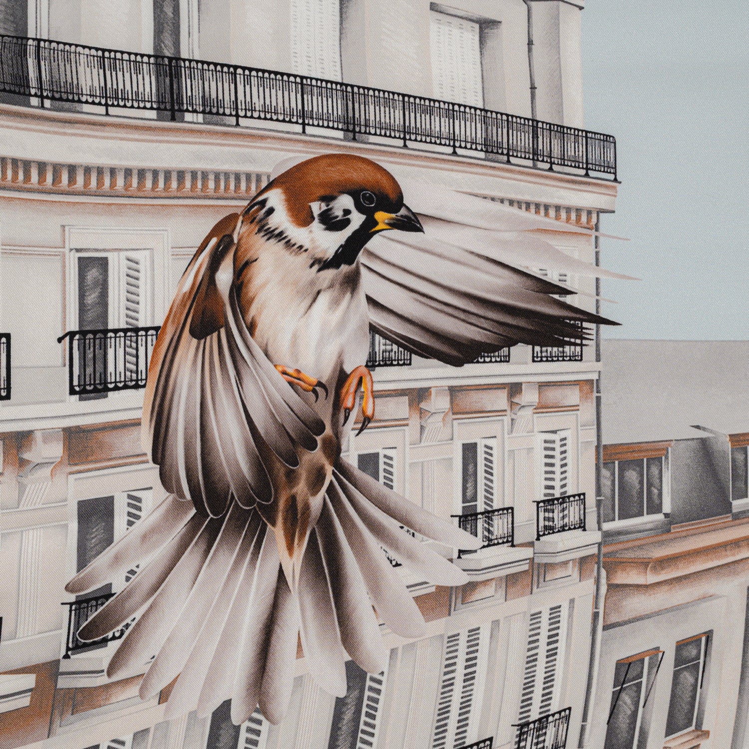 Carré 70 - Sur Les Toits