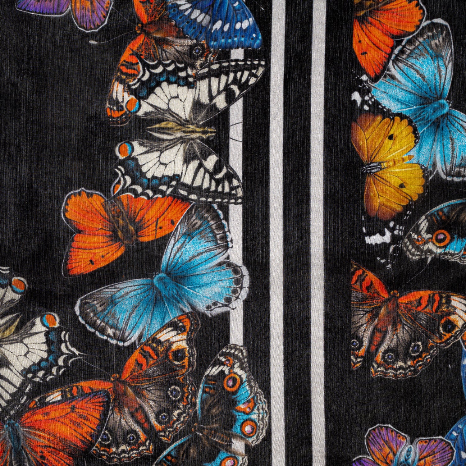 Carré 120 - Papillons