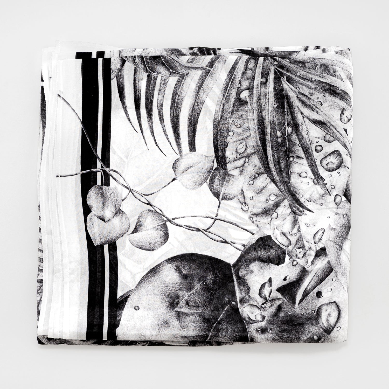 Carré 120 - Immersion Sauvage