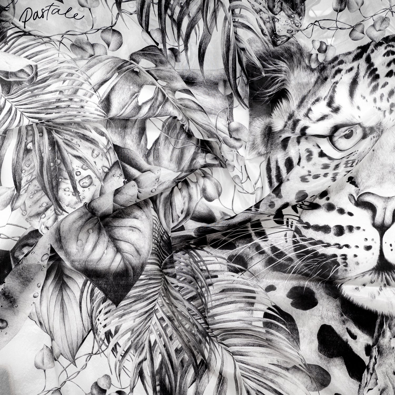 Carré 120 - Immersion Sauvage