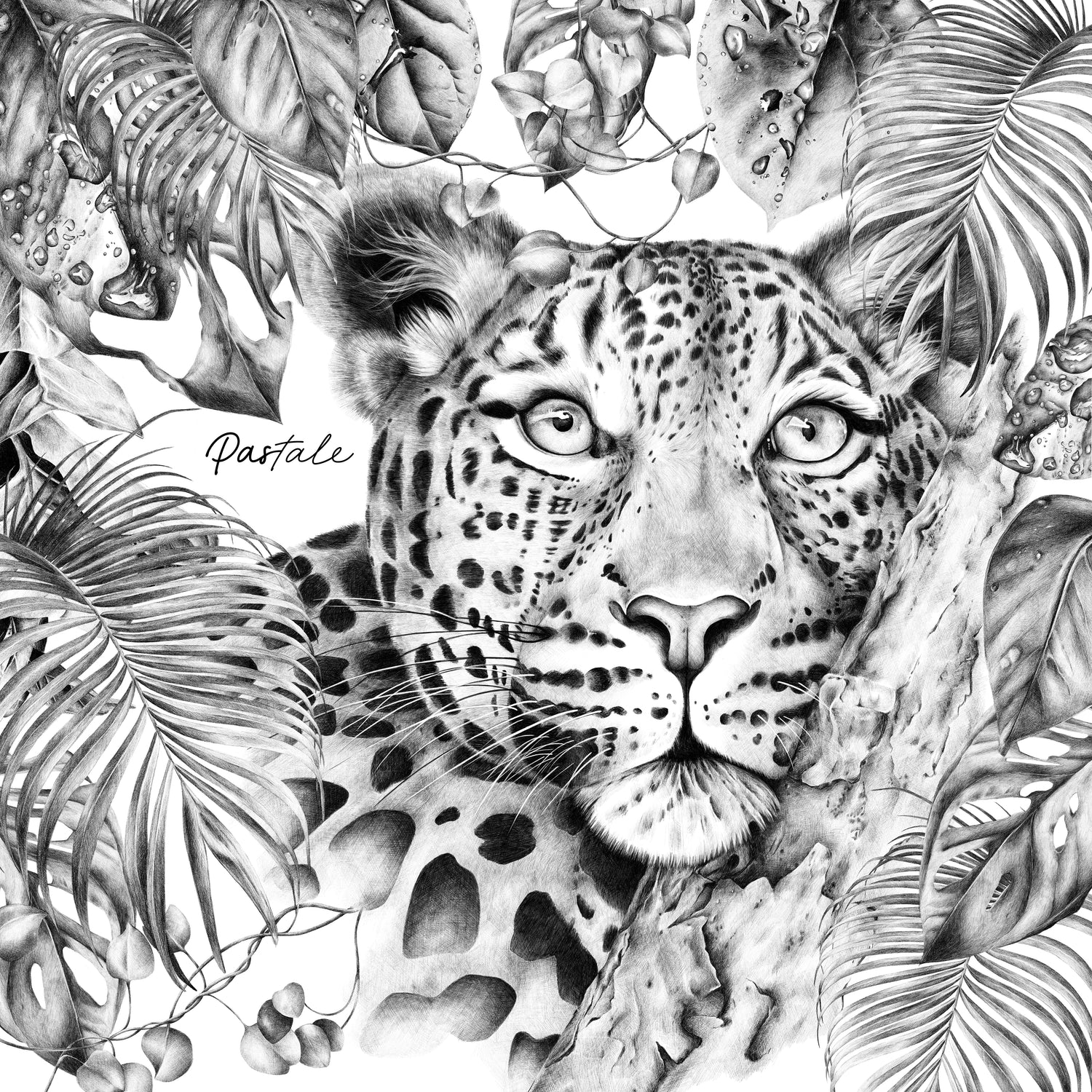 Carré 70 - Immersion Sauvage