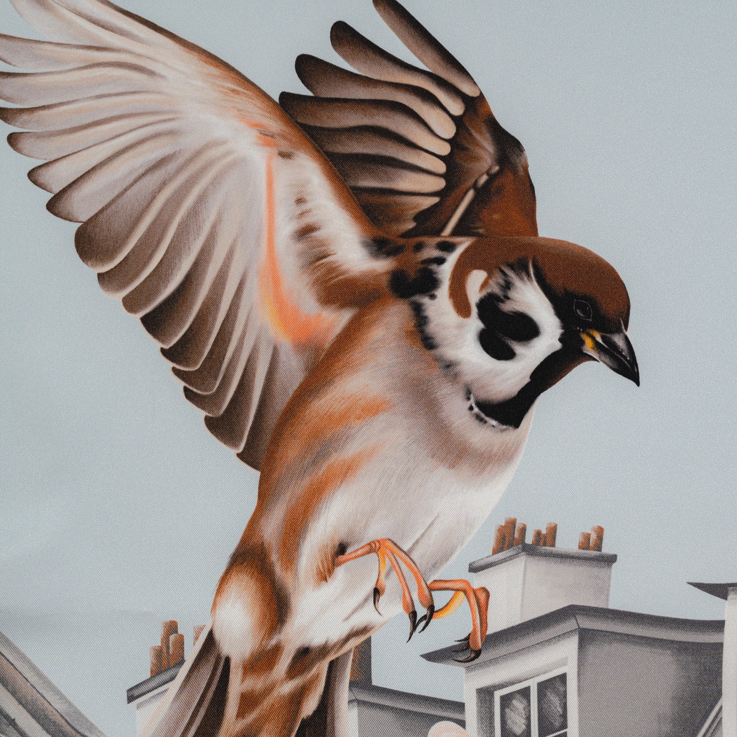 Carré 90 - Sur Les Toits