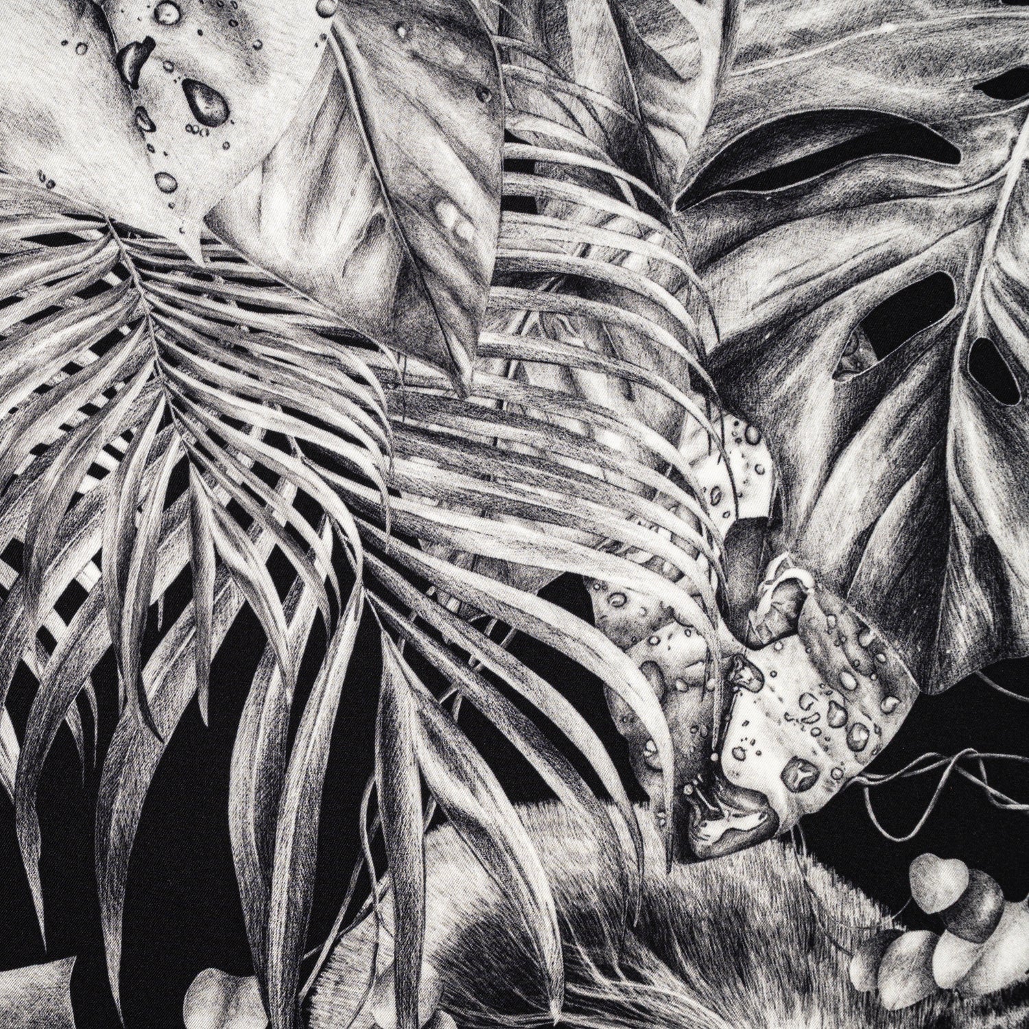 Carré 90 - Immersion Sauvage