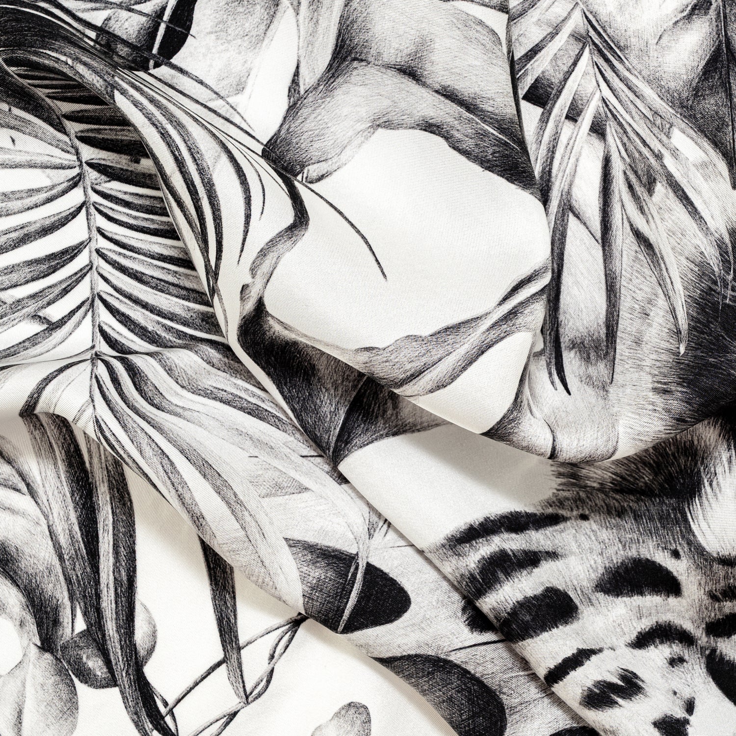 Carré 70 - Immersion Sauvage