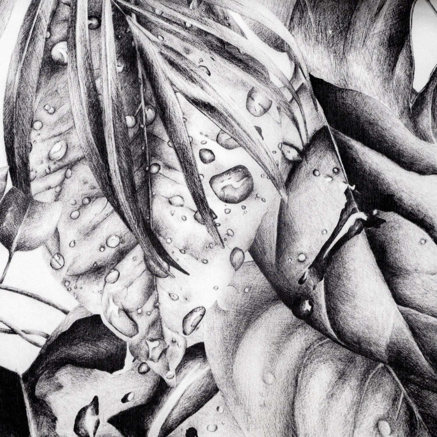 Carré 120 - Immersion Sauvage